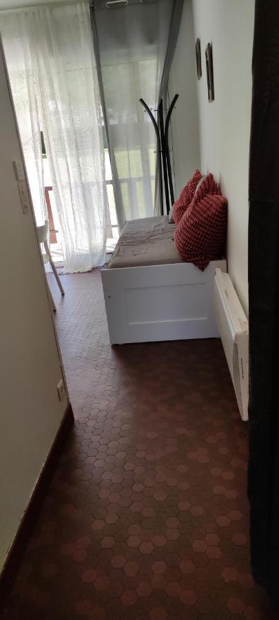 Appartement T1Bis St Lary Soulan Village Saint-Lary-Soulan Exterior foto